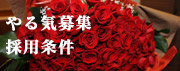 やる気募集採用条件