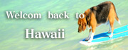 Welcome back to Hawaii