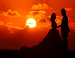 �E�F�f�B���O�I�v�V����