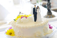 �~�b�V�F���Y