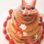 �X�g���x���[�p���P�[�L�^���[�i��20���l���j