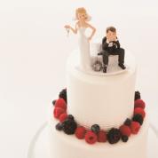 �x���[�g�b�s���O�@2�i�P�[�L�i��20���l���j�@*�P�[�L�g�b�v�͂����Q��������