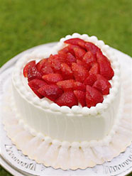 �X�g���x���[�E�n�[�g�^�P�[�L�i��10���l���j